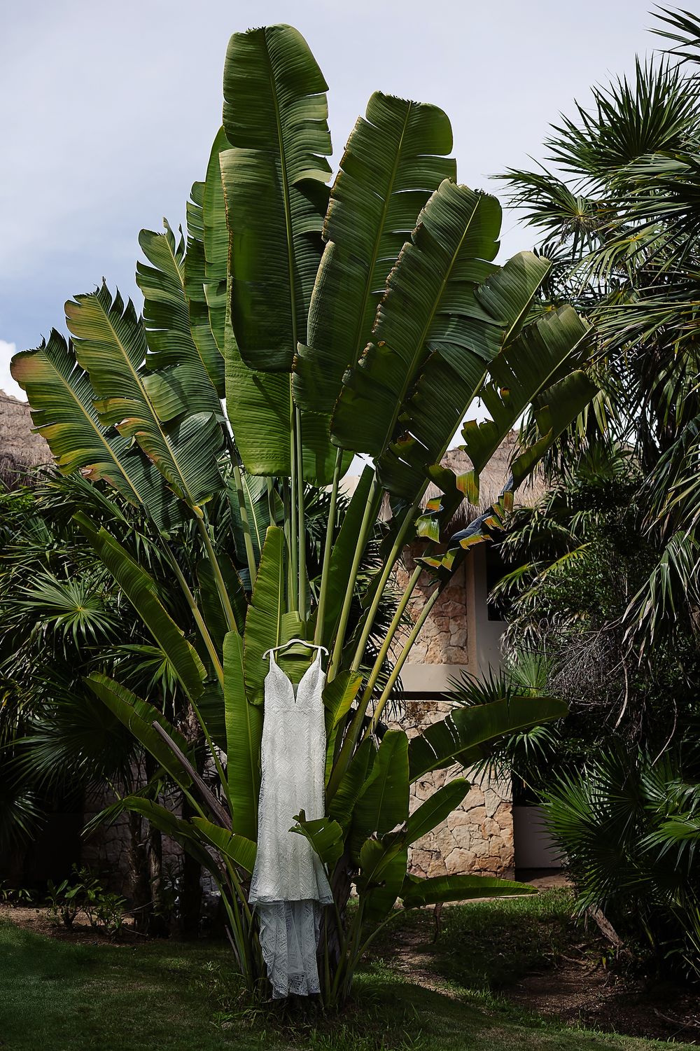 Tropical garden setting with tall banana plants and palm trees surrounding a white dress hanging on display.