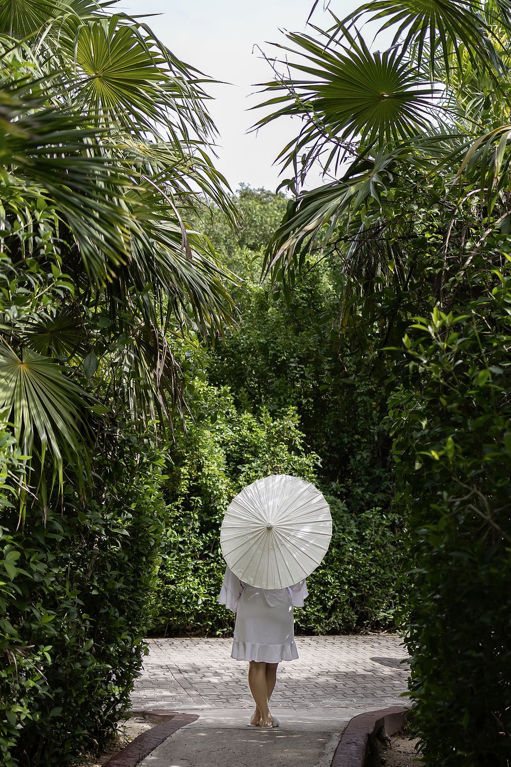 Bride walking with parasol among tropical plants at Grand Palladium Riviera Maya.