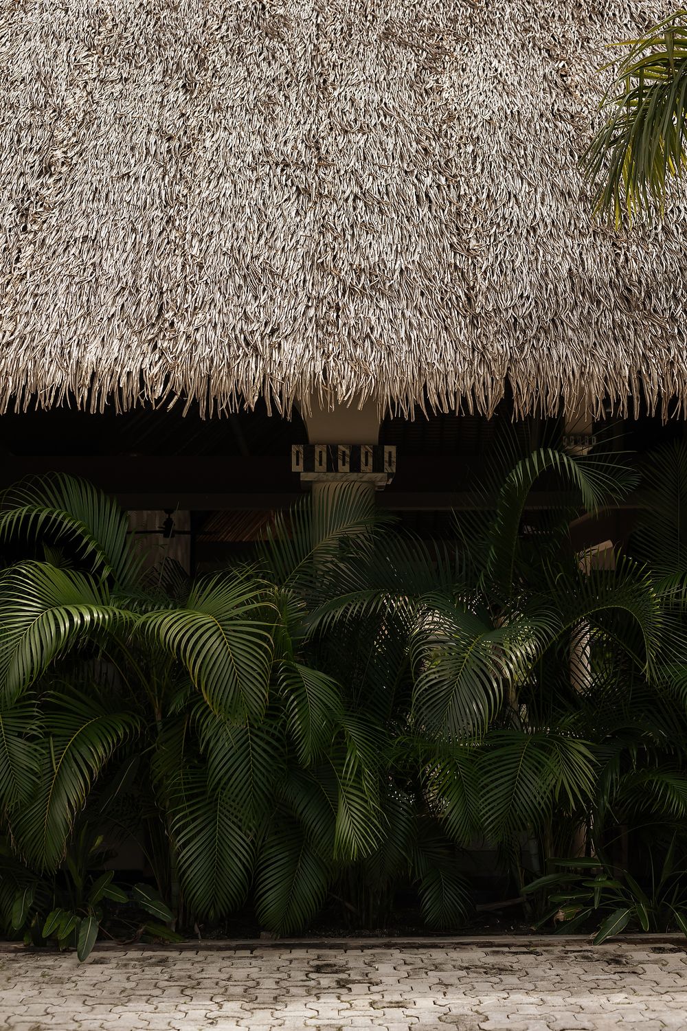 Tropical palm plants line the edge of a thatched-roof structure with white sand visible below.