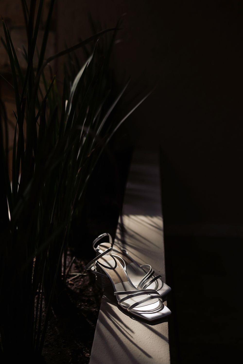 A series of artistic photos showing white sneakers in dramatic shadows with palm fronds creating patterns of light and dark.