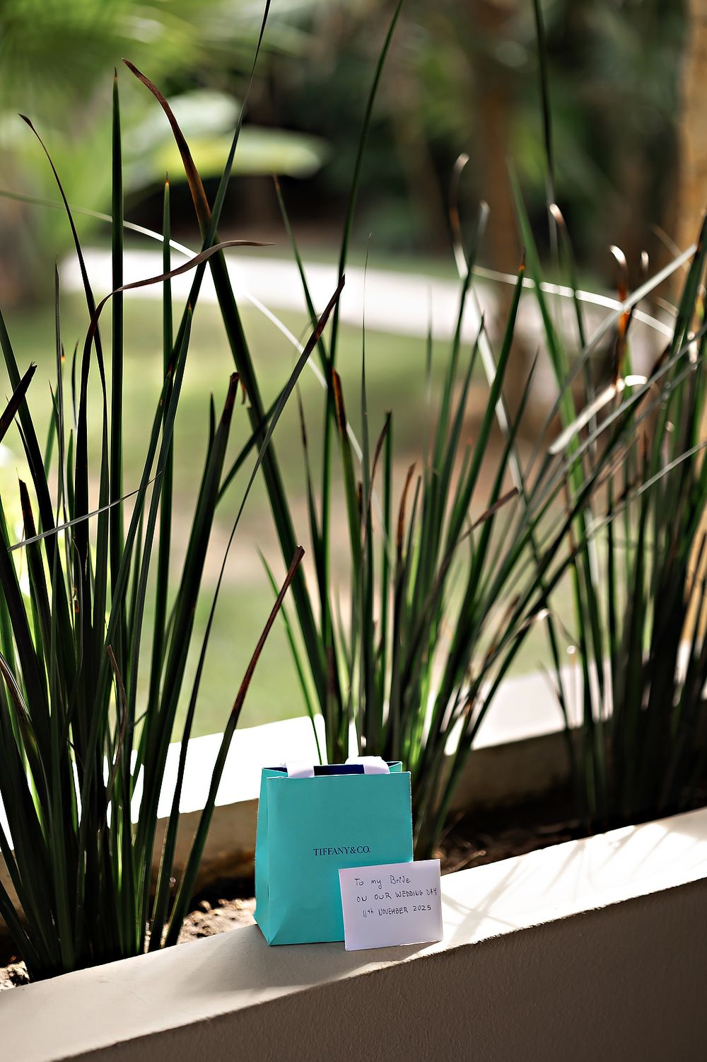 Small turquoise card sits on ledge with green plants in background creating minimalist composition.