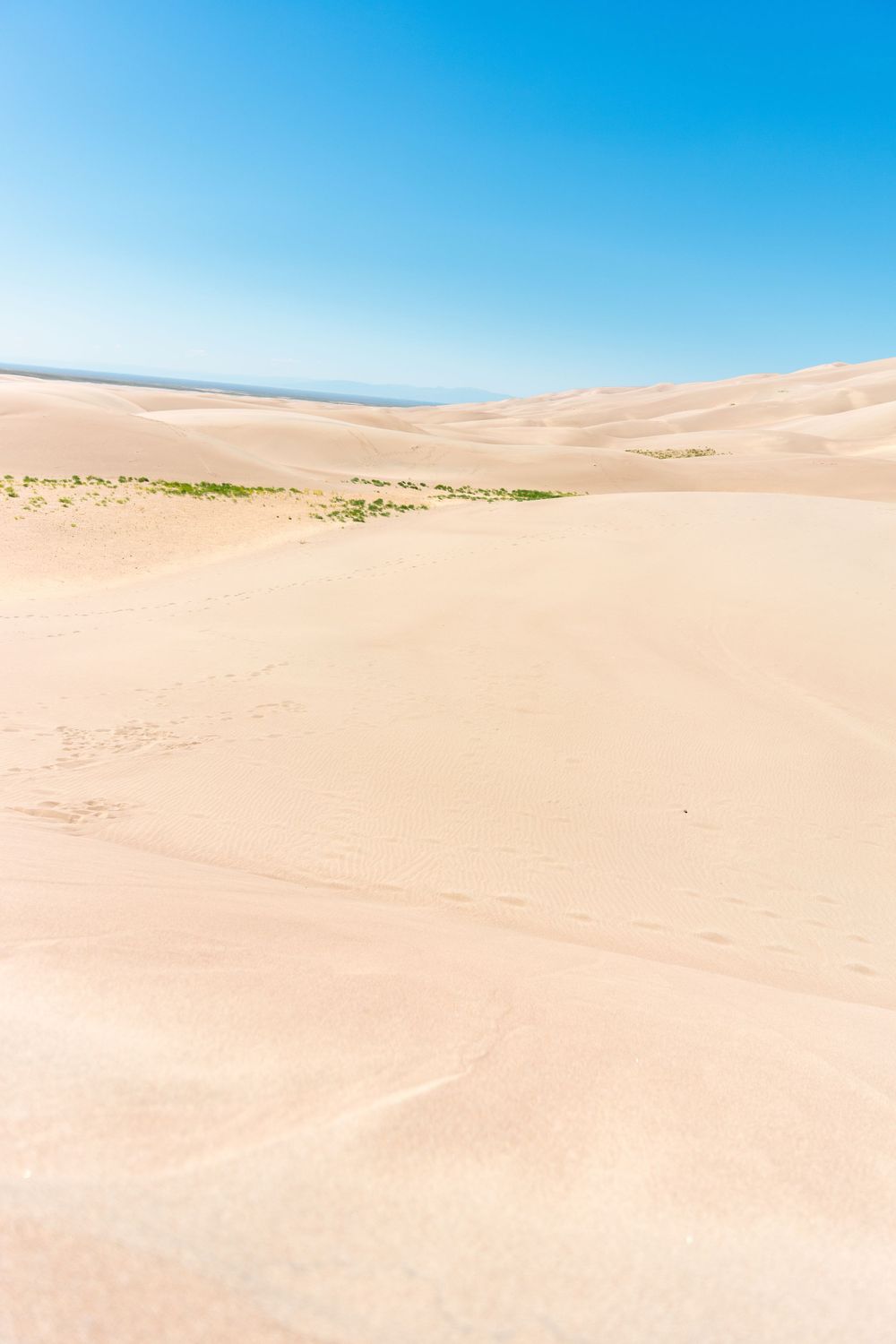 Expansive sand dunes stretching to horizon under bright blue sky.