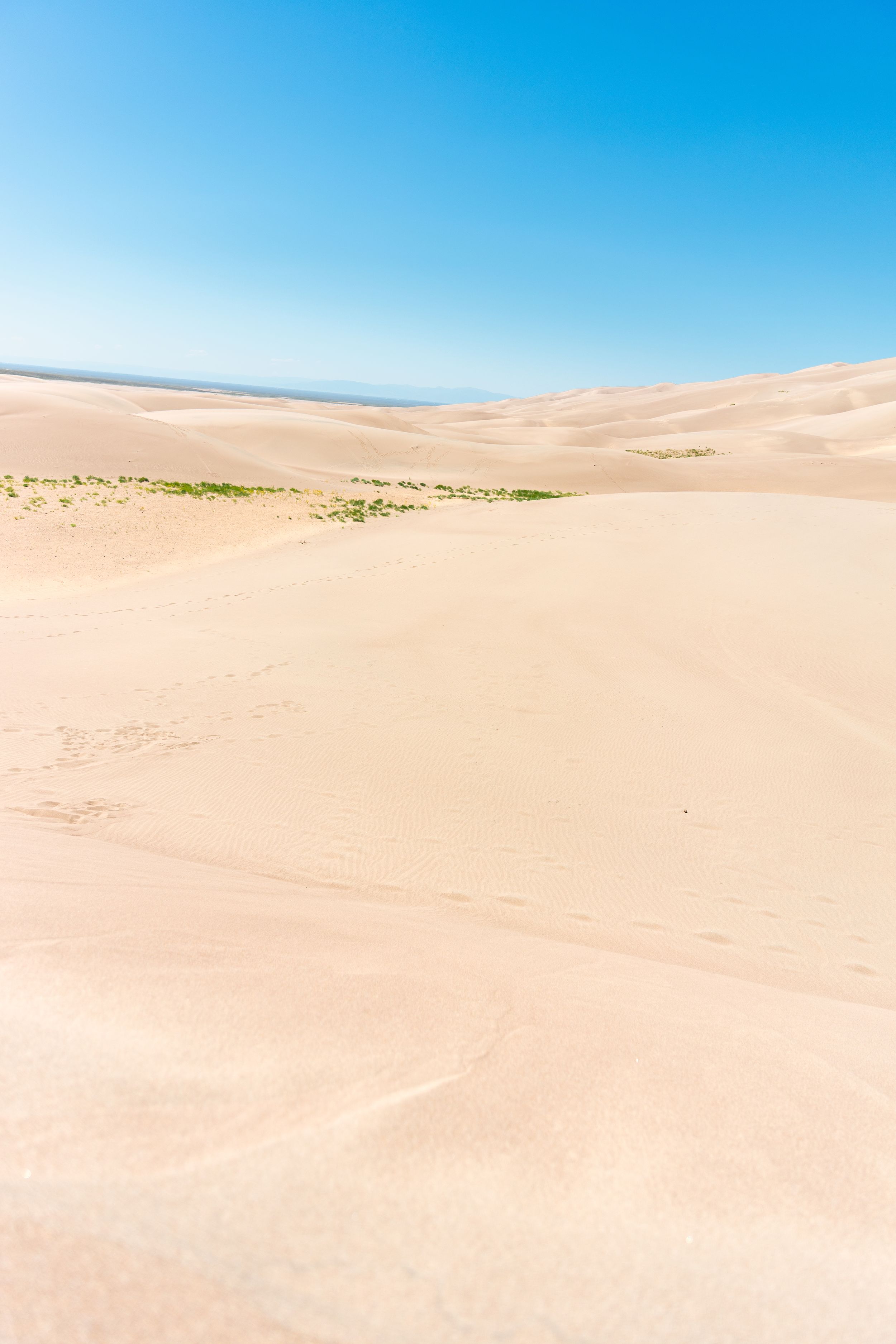 Expansive sand dunes stretching to horizon under bright blue sky.