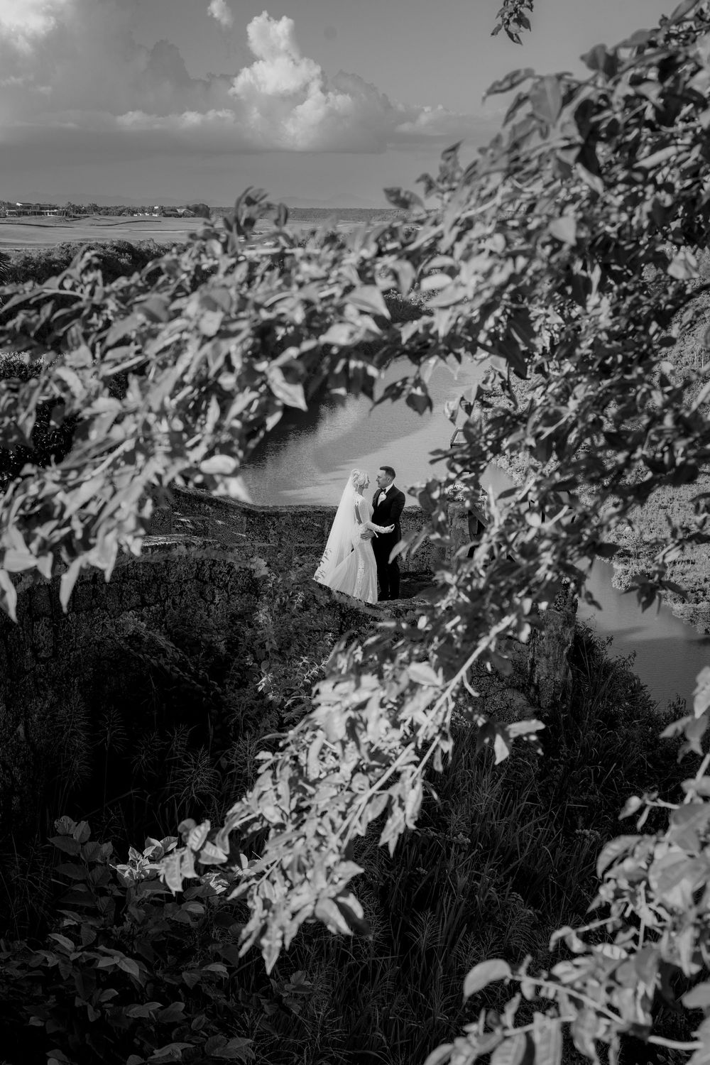 Black and white landscape view through tree branches overlooking a scenic lake and distant shoreline.