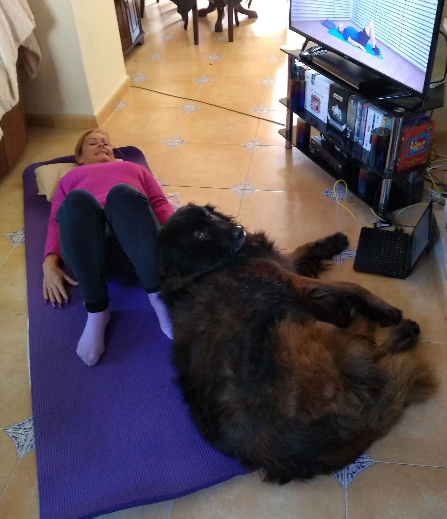 Woman lying on purple yoga mat on floor while large fluffy dark dog rests beside her near TV.