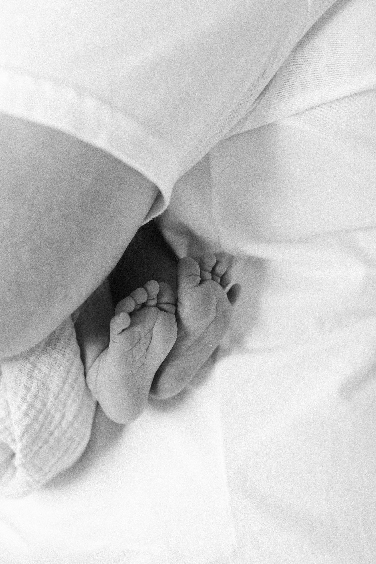 Close-up newborn photos of tiny baby toes during an Orange County photography session