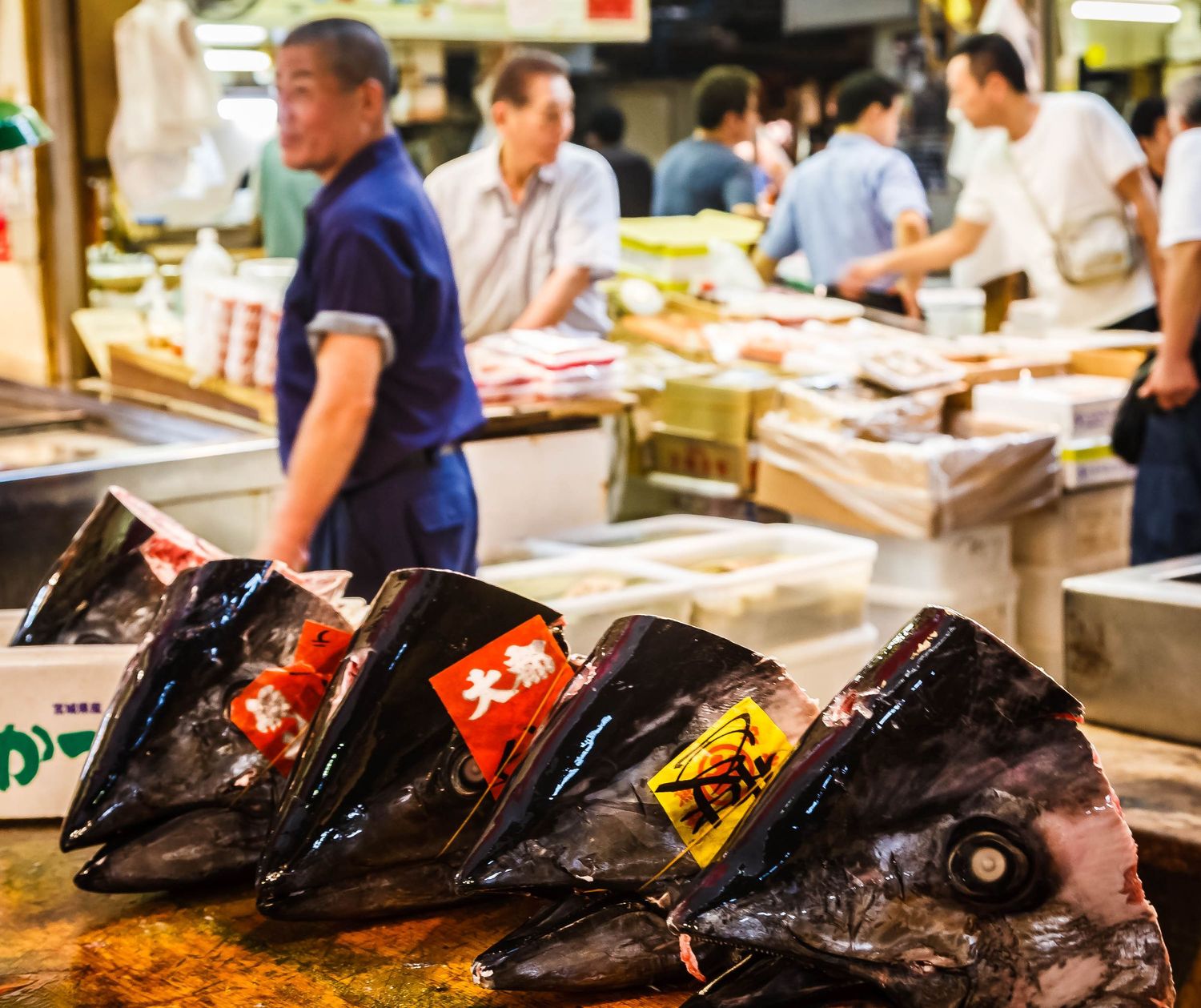 Tsukiji Outer Market, Tokyo, Japan, fish market