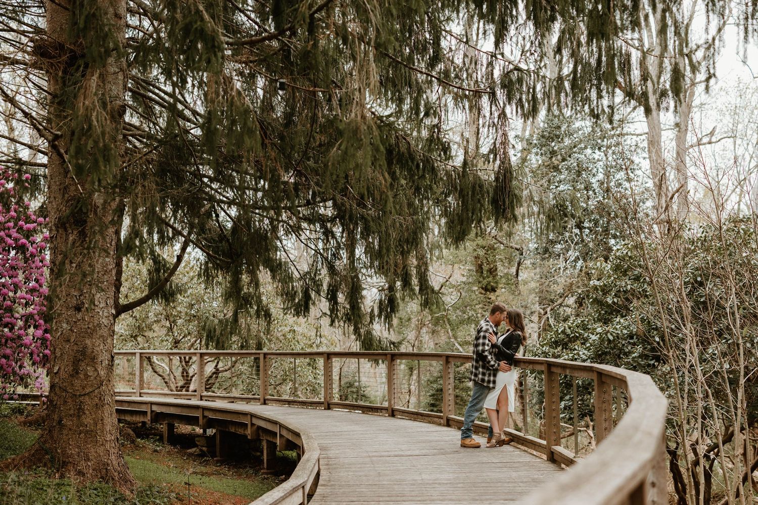 family photography, massachusetts, south shore photographer, massachusetts photographer, couples, engagement photographer,  engagement photo
