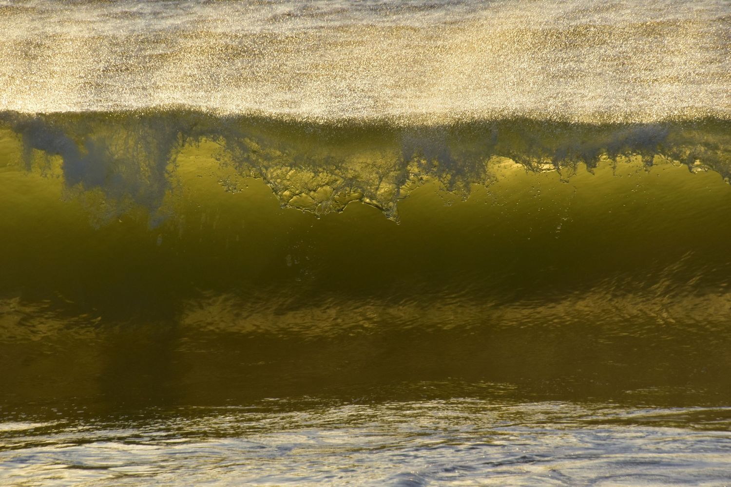 Photography in Marinette Wi