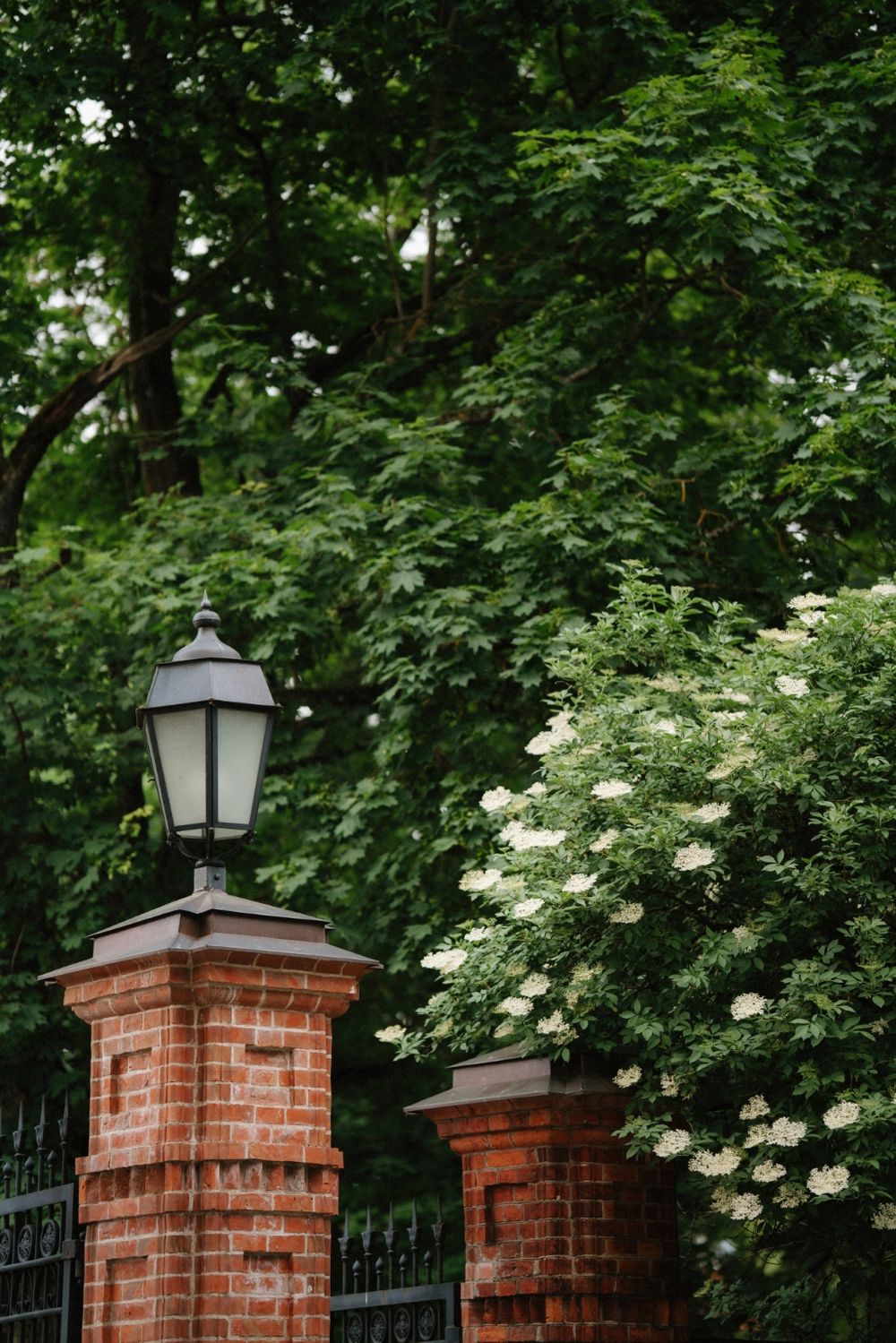 Brick entrance pillars with lanterns surrounded by blooming white flowers and lush greenery.