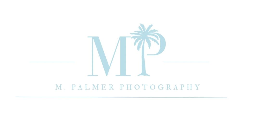 Light blue photography logo design with palm tree icon and M initial.