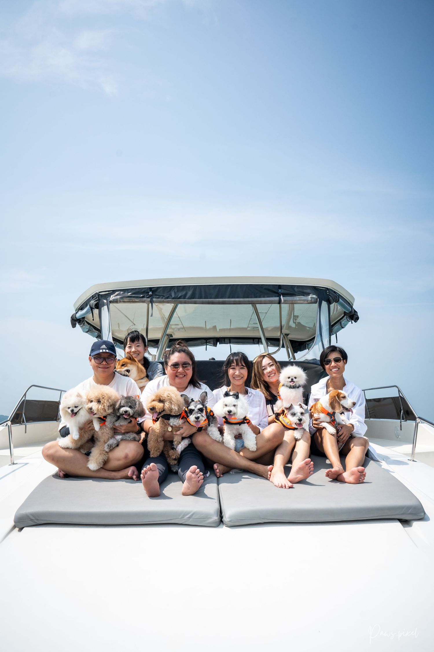 Group relaxing on boat deck with multiple small white dogs.