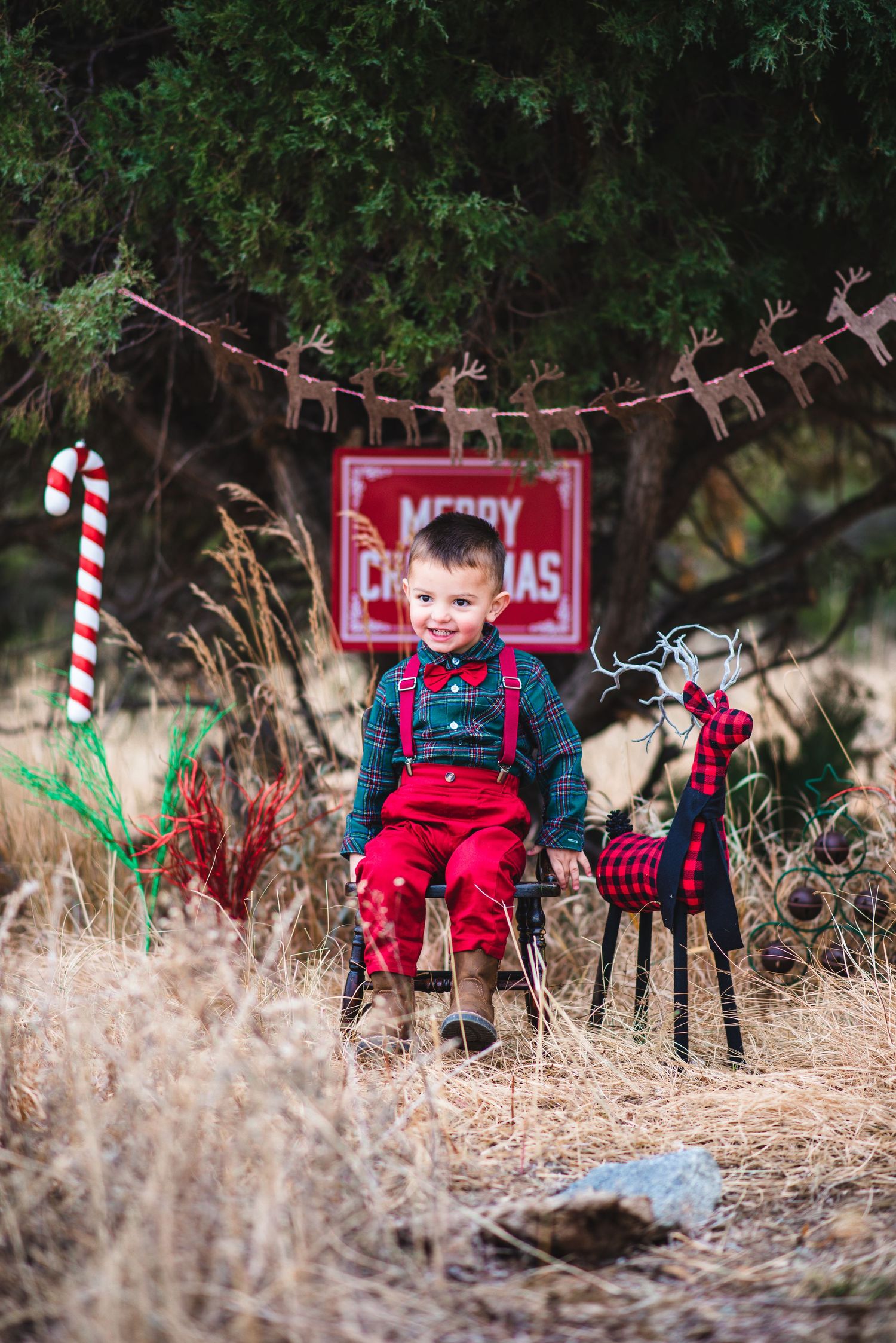 Amber Canterbury Photography Christmas mini session