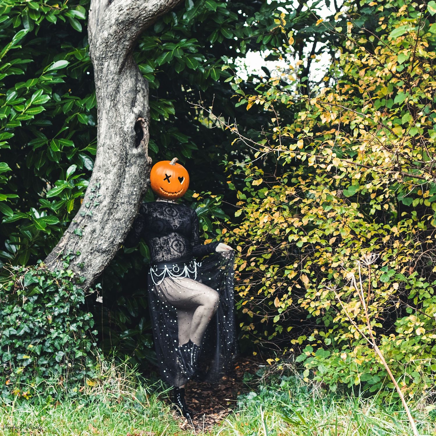 Mysterious pumpkin-headed figure in black lace lounges against tree in lush garden setting.