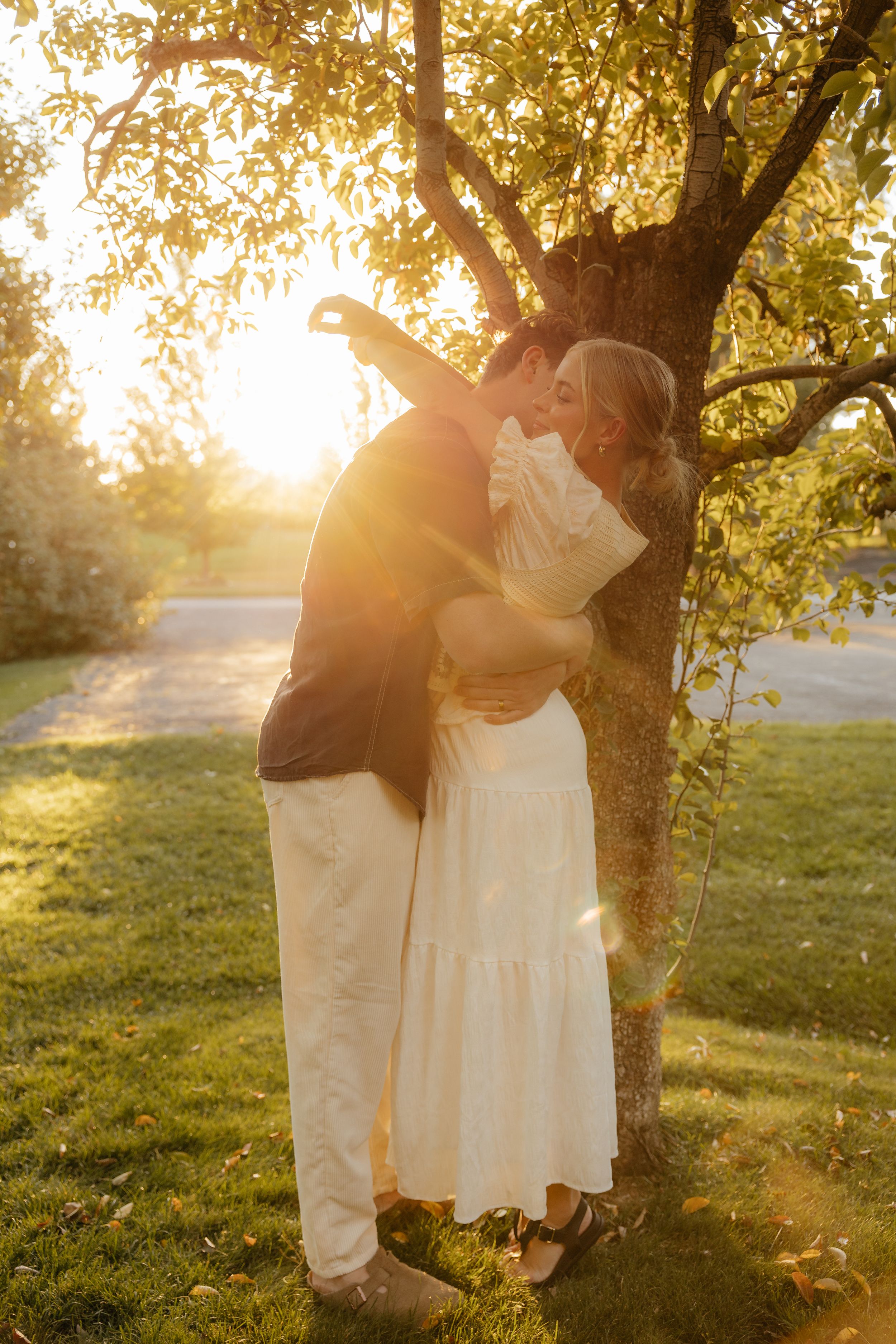 Couple sharing a kiss under a tree with stunning golden sunset light streaming through the branches.