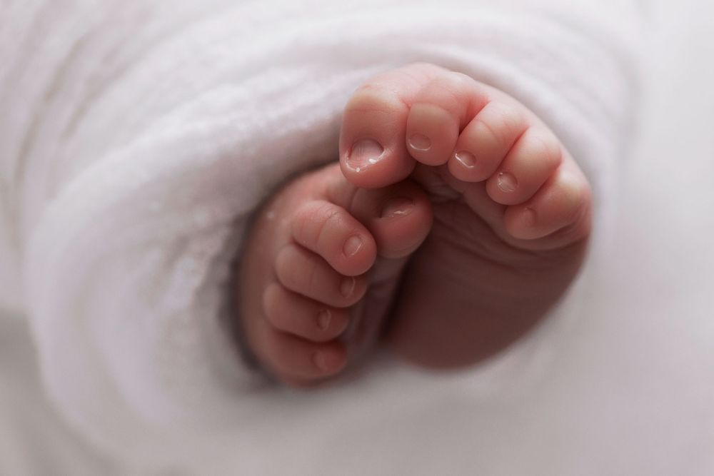 Close-up view of tiny baby feet wrapped in soft white blanket showing delicate toes against light backdrop.