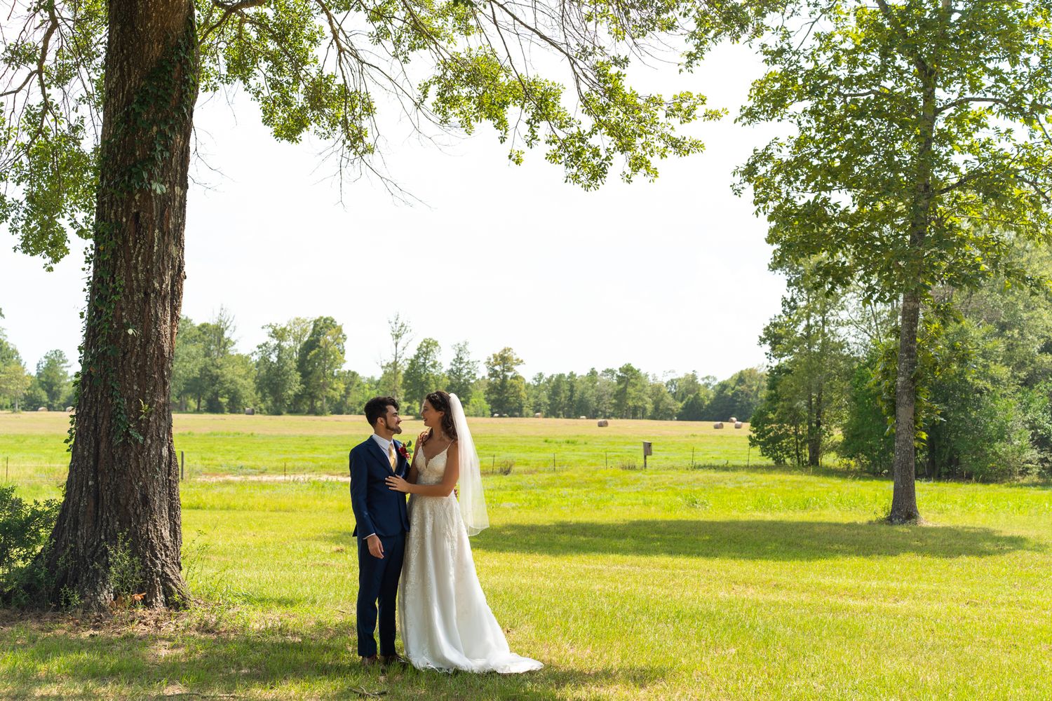 A couple celebrates their wedding day together beneath a large tree in a sunlit summer meadow.