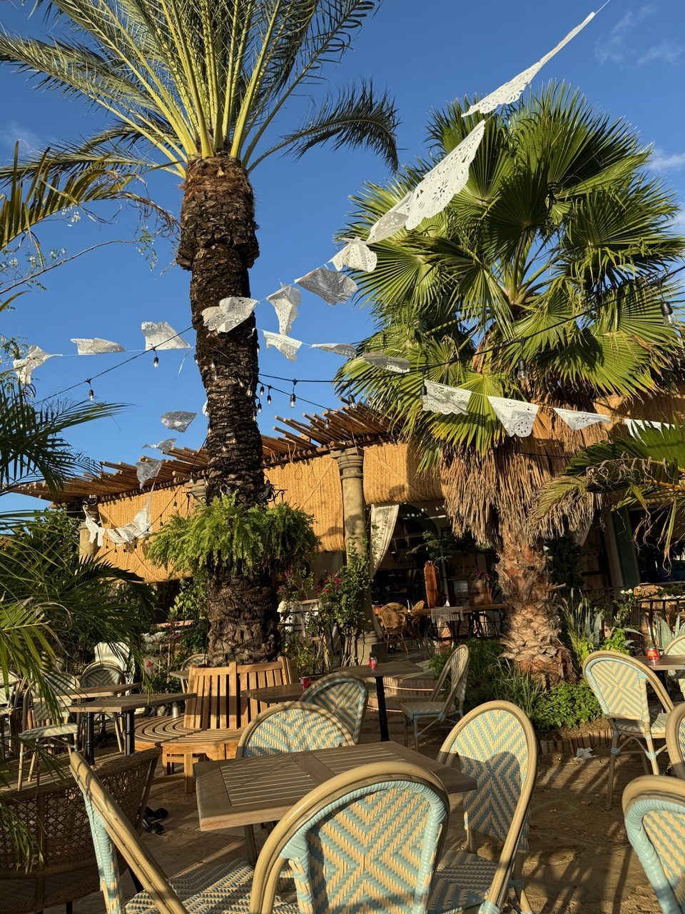 Outdoor restaurant patio with palm trees and hanging white decorations under blue sky at a tropical beachside location.