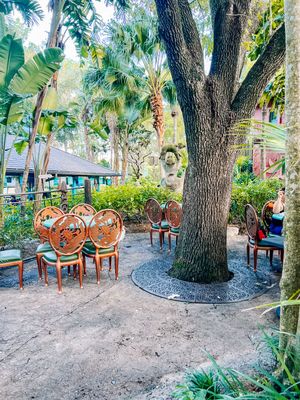 Red metal chairs arranged in a circle under shady trees in a tropical garden setting with sandy ground.