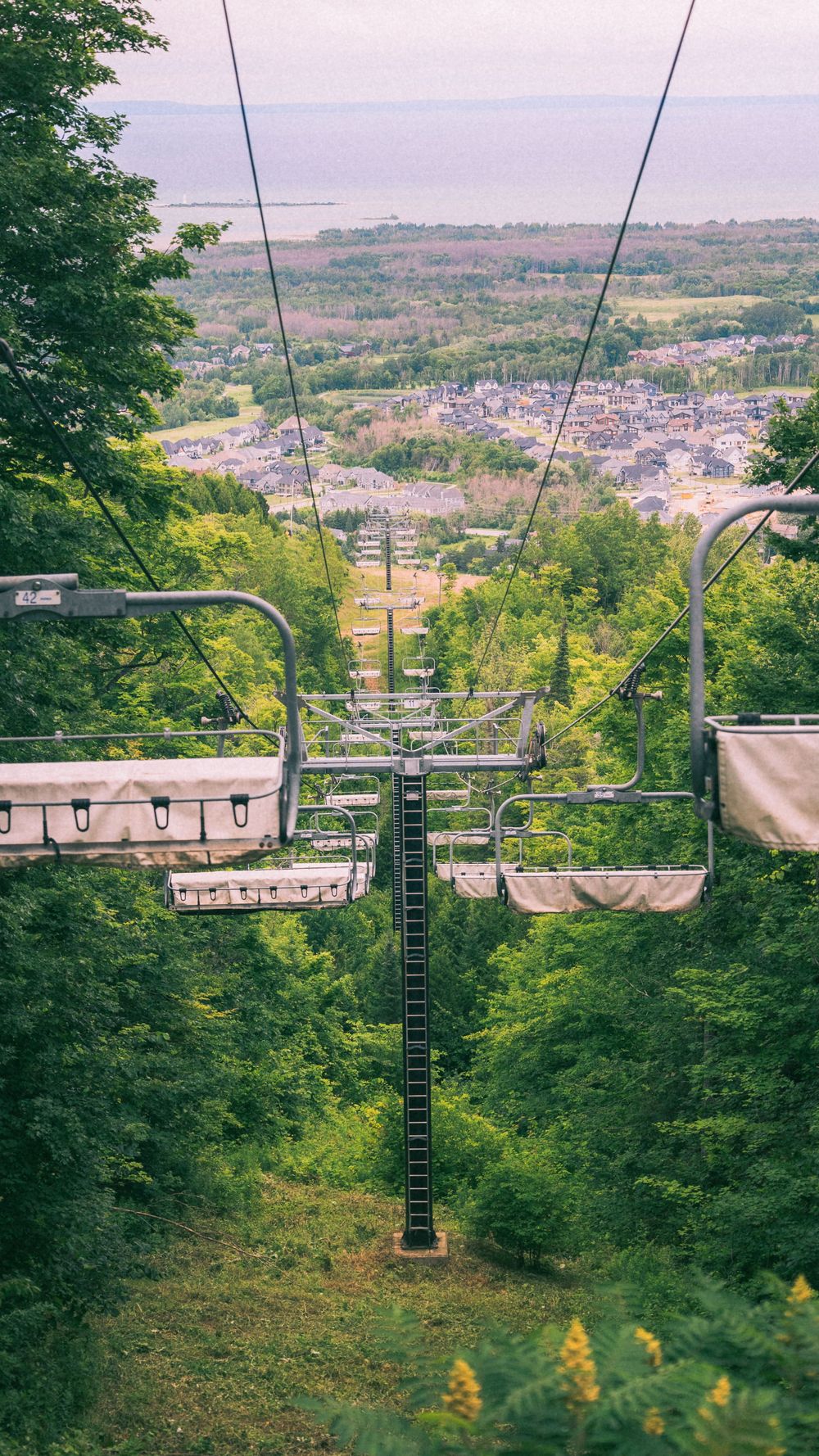Aerial tramway or gondola lift system stretches across a forested hillside with city views below.