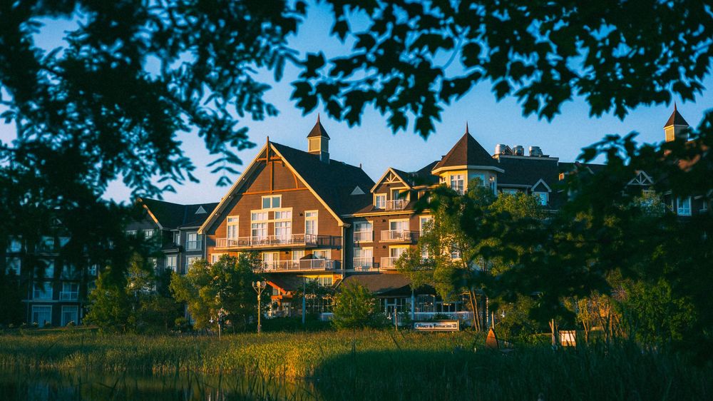 Panoramic view of luxury homes nestled among trees at golden hour.