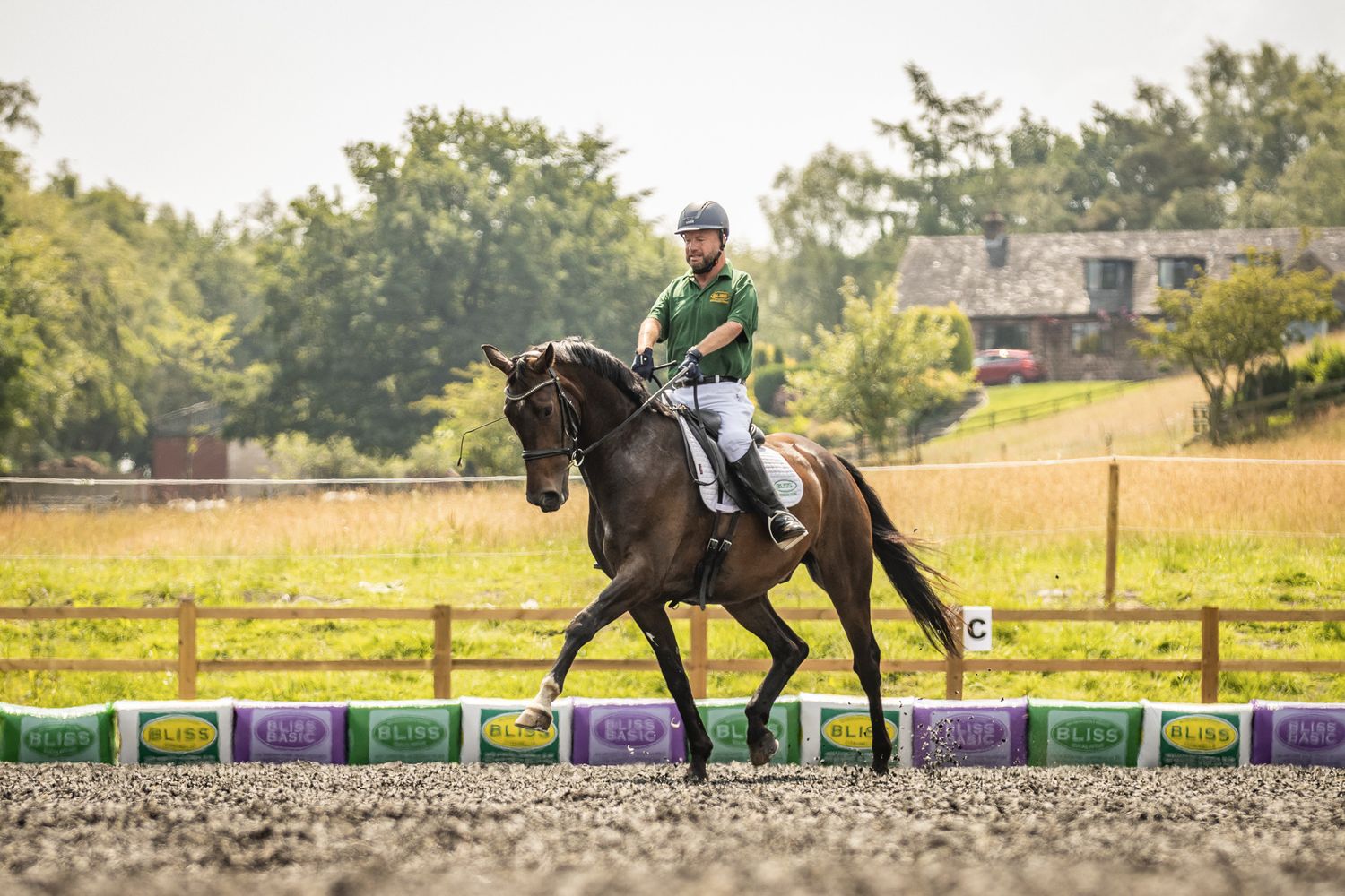 An equestrian rides a black horse in training across a colorful barrier course on a sunny day.
