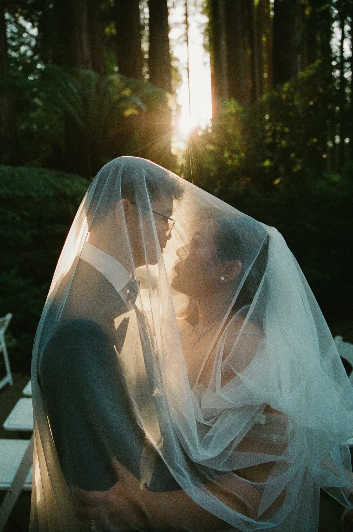 Romantic wedding couple embraces under a flowing veil with sunlight streaming through forest trees in the background.