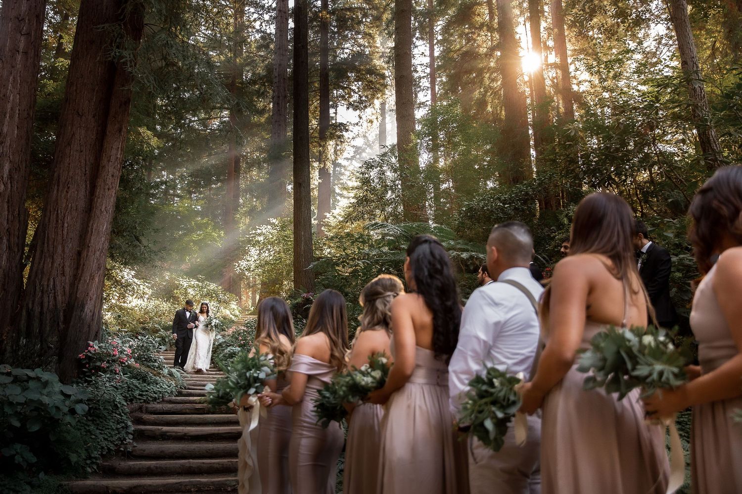 Wedding party stands on stone steps in a sunlit redwood forest during golden hour ceremony.