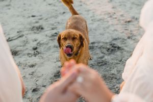 Ct wedding photographer, New England Photographer, Engagement Photographer, Beach engagement photos