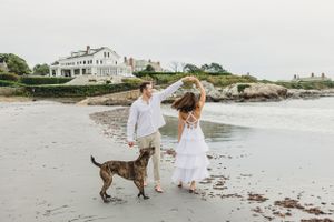 A couple walks along a beach with their dog as coastal homes line the shore. Cliff Walk, Newport, RI