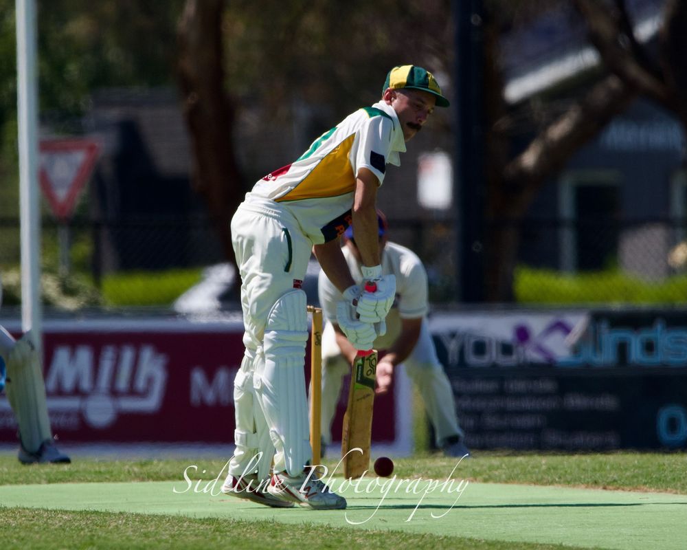 Dromana CC - batsman taking stance