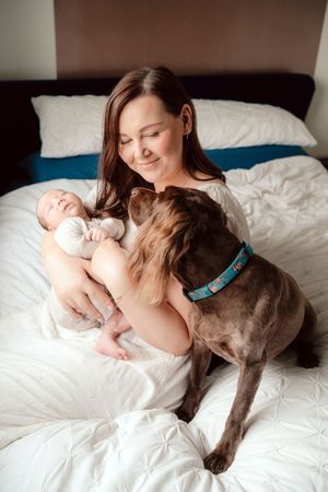 A chocolate Labrador dog snuggles with a baby and woman on white bedding in a heartwarming series of photos.