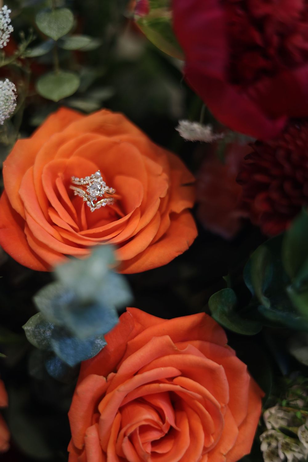 Close-up of vibrant orange roses with deep red flowers and green foliage in the background.