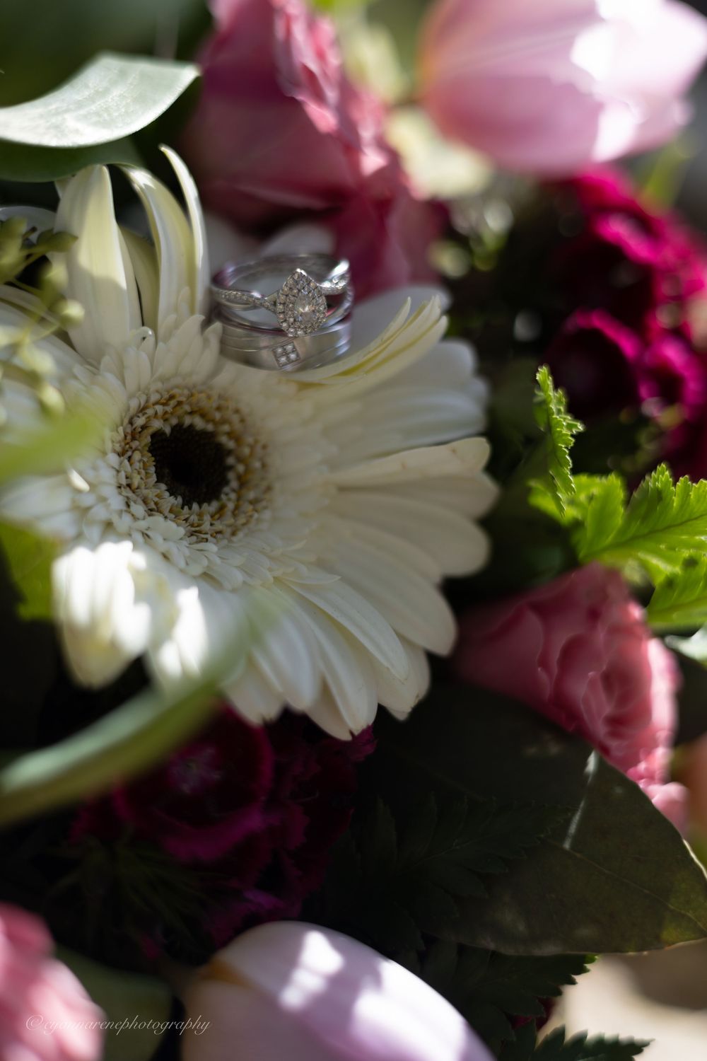 A close-up macro photography of white gerbera daisies with pink roses and greenery in soft lighting.
