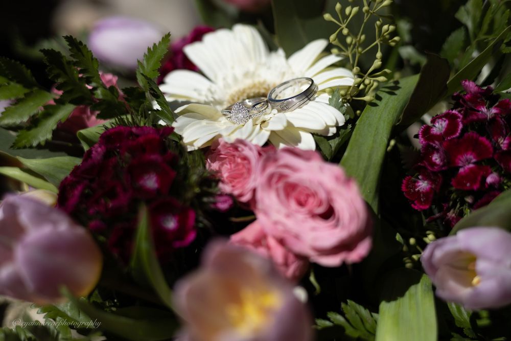 Elegant floral arrangement featuring dark burgundy and soft pink roses with delicate petals in a romantic garden setting.