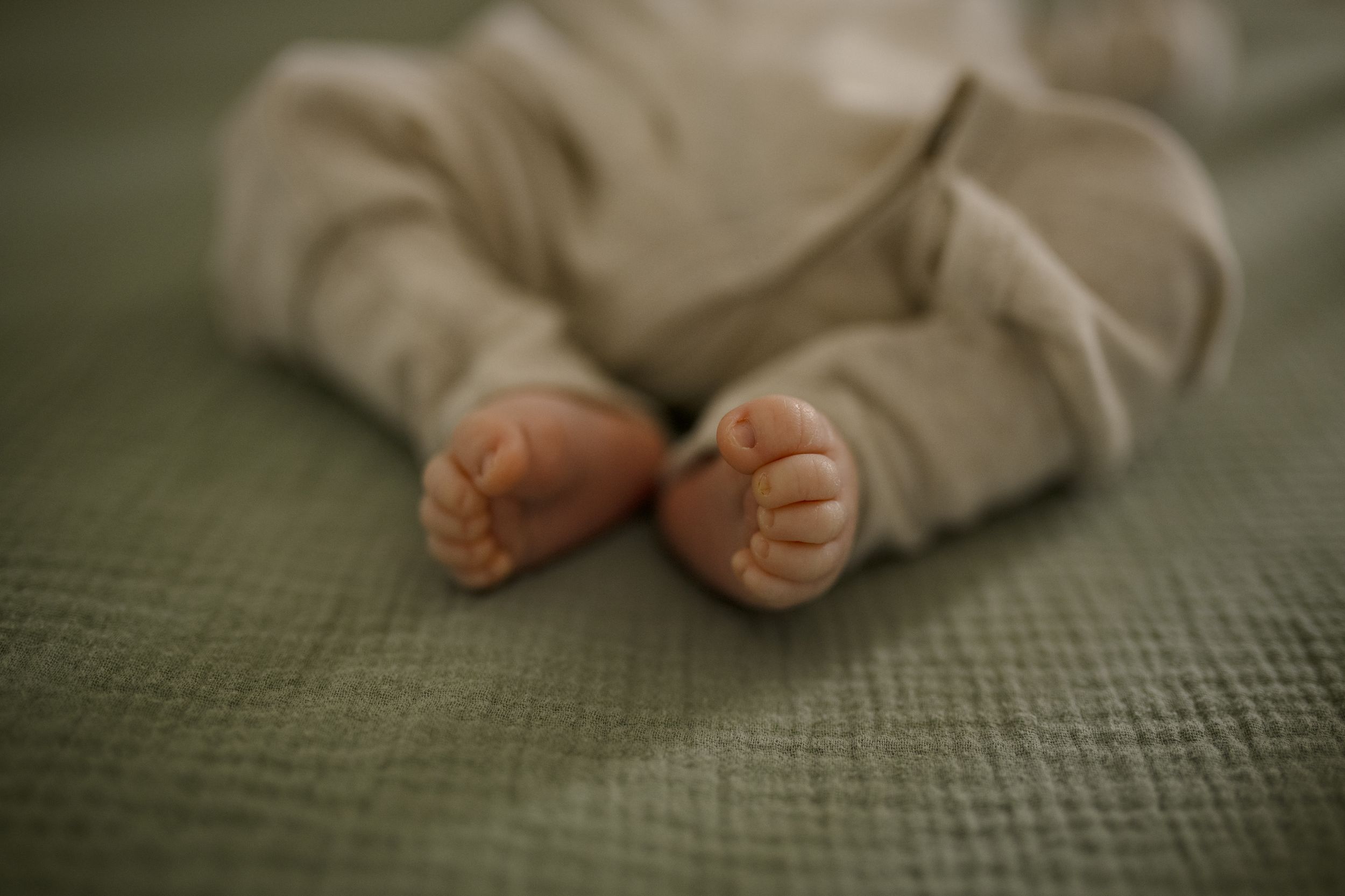Close-up detail of tiny newborn feet against green textured background.