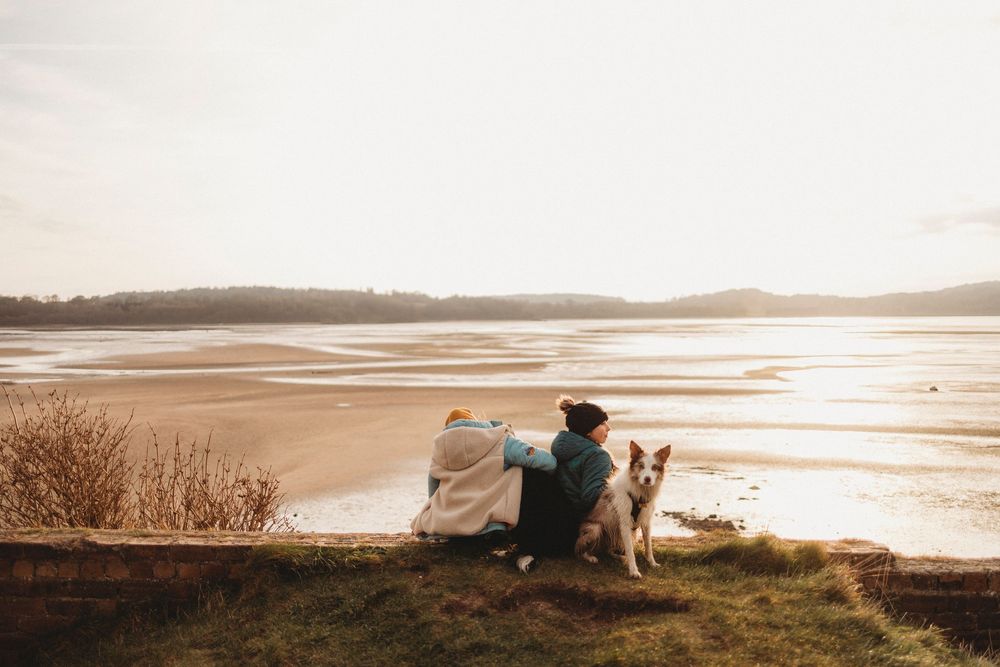 Two people and their dog sit together on a cliff overlooking a scenic beach at sunset in warm muted tones.
