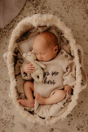 Overhead shot of sleeping baby in cream colored nest with stuffed animal companion.