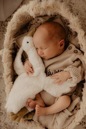 Newborn resting peacefully with white plush toy on soft textured bedding.