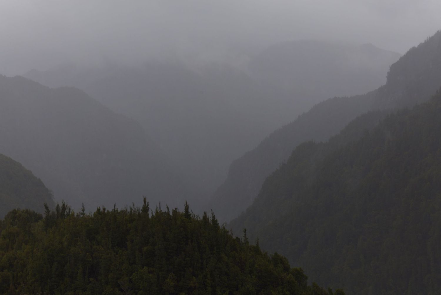 Misty layered mountain ridges fade into gray fog above a dark evergreen forested hillside on a rainy, moody day.