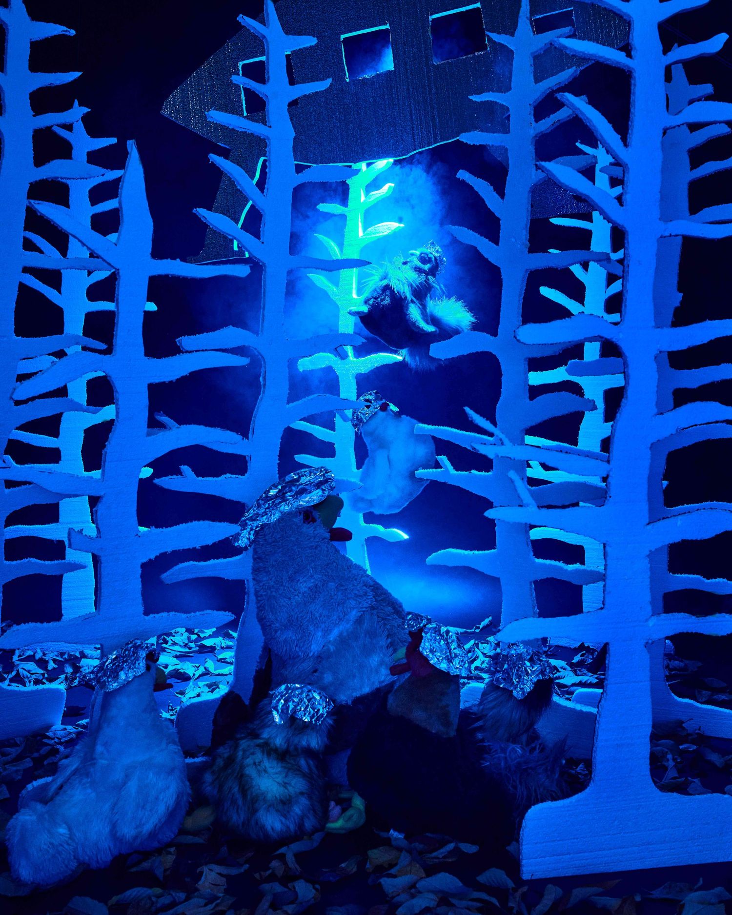 Aliens abducted Chicken family during a family hike in the woods.  At night!