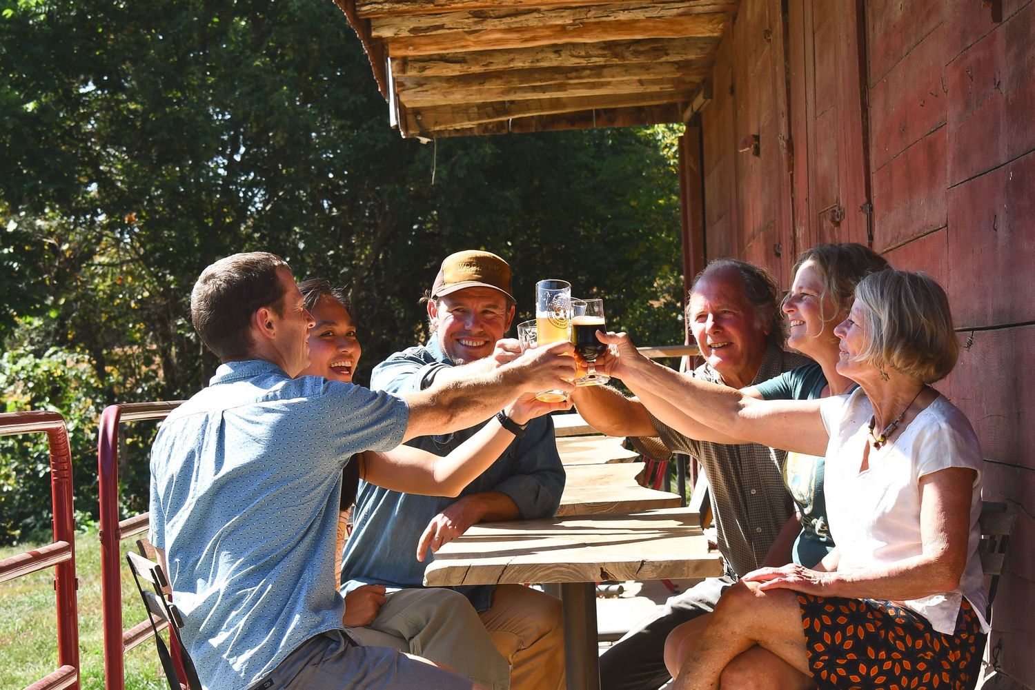Group of friends toasting with beer glasses at an outdoor wooden table on a sunny day.