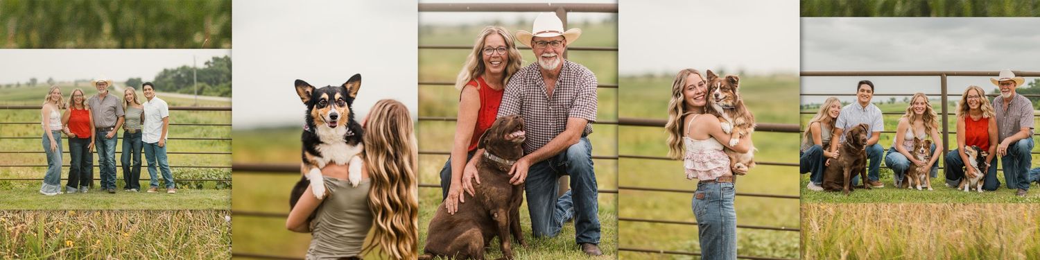 Collage of four family portraits outdoors in a grassy field, featuring parents, children, and a dog posing together near a wooden fence.