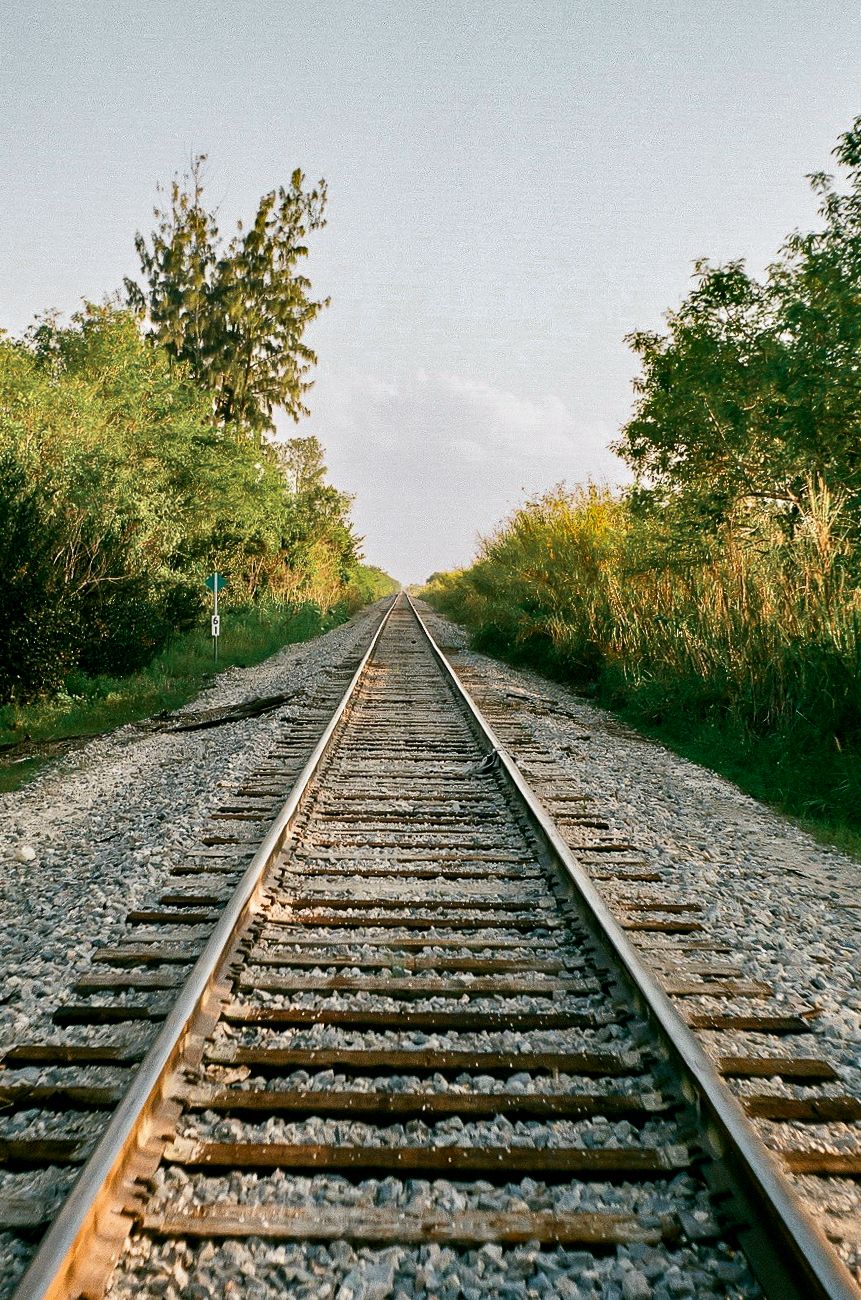 Straight railroad tracks with wooden ties and gravel ballast stretch toward the horizon, lined with green trees and tall grass under a pale 