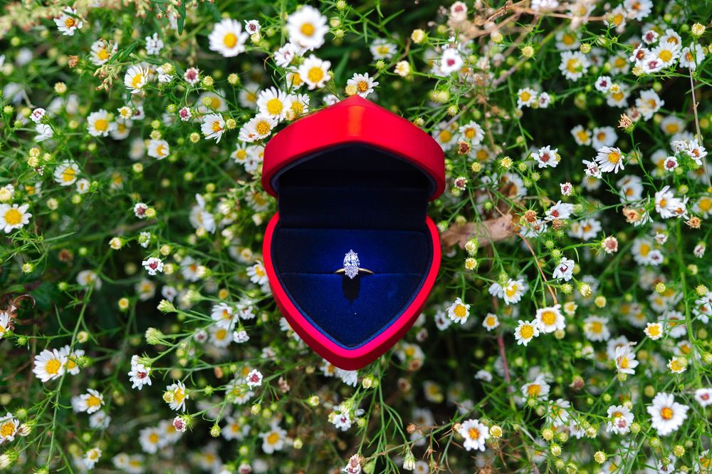 Red heart-shaped ring box with a glowing blue interior holding a diamond engagement ring, nestled among small white daisies.