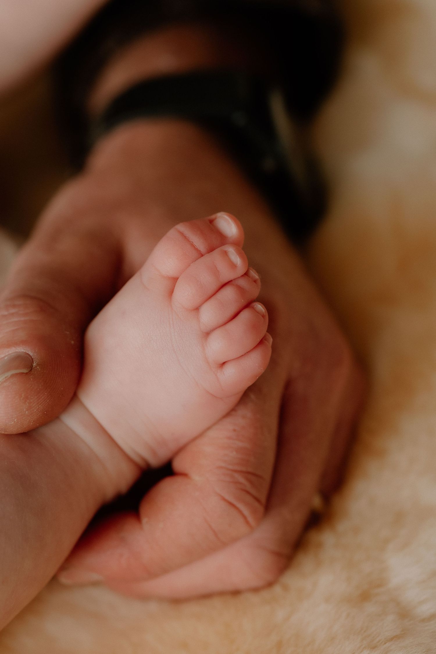 A newborn baby's tiny foot cradled gently in an adult's hand, showcasing the delicate size difference.