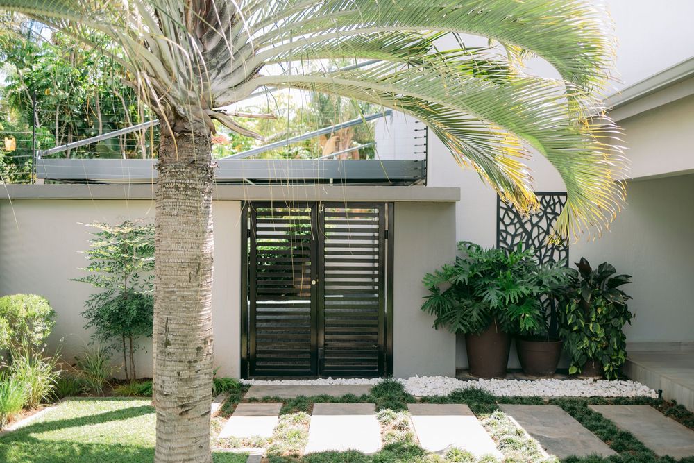 Modern home entrance with dark louvered gate, decorative screen, lush tropical plants, and palm tree lining a stone pathway.