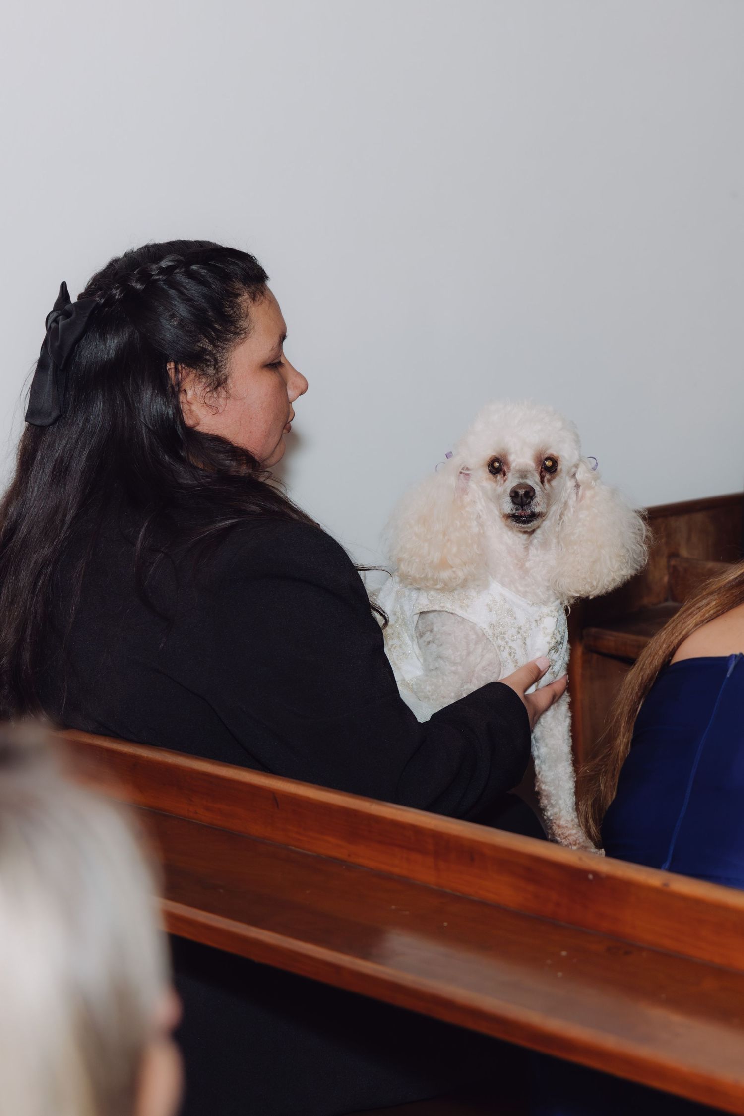 Woman in black dress holds a white poodle on church pew during a wedding ceremony.
