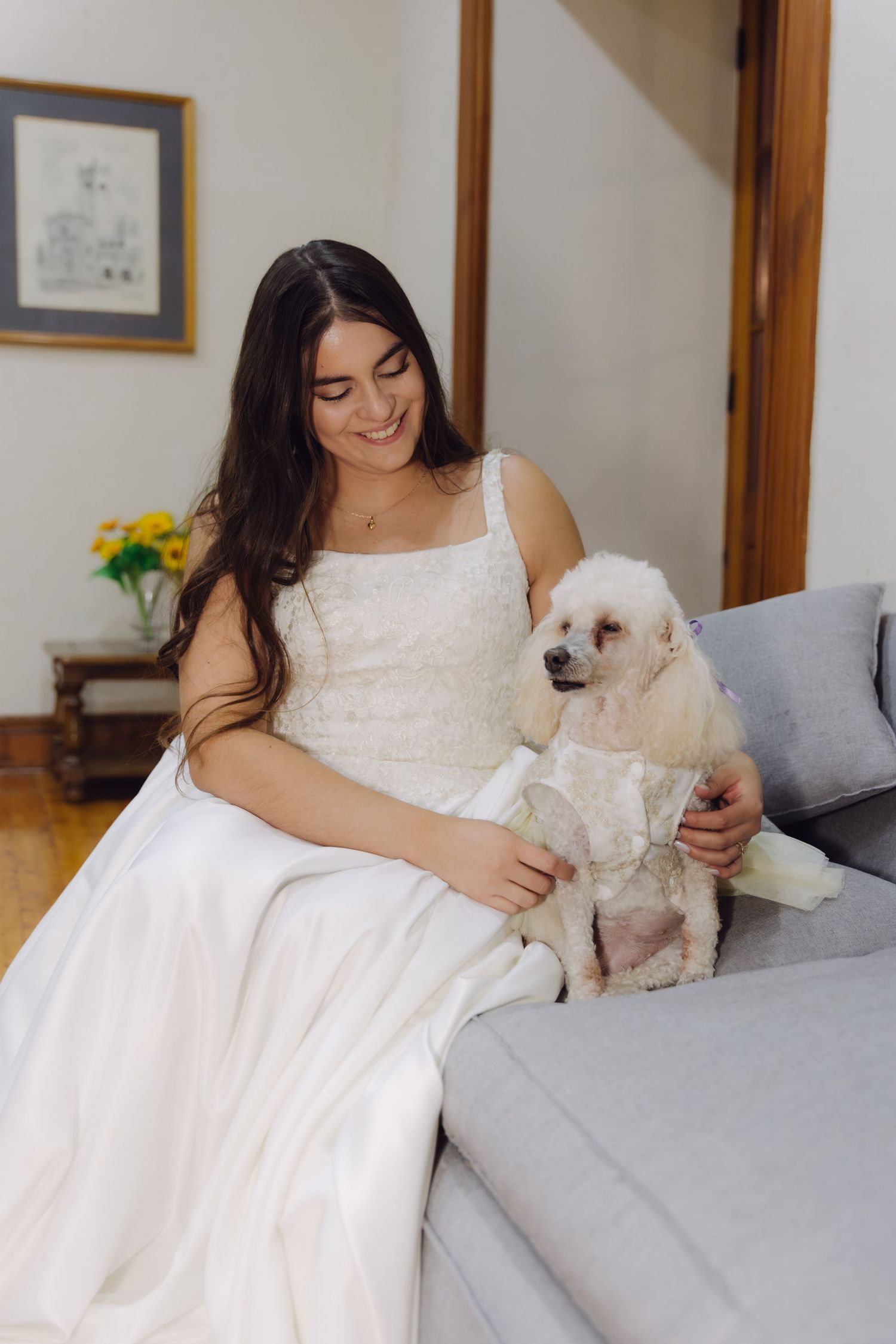 Beautiful bride in white wedding dress smiles while petting her white poodle on a gray sofa.