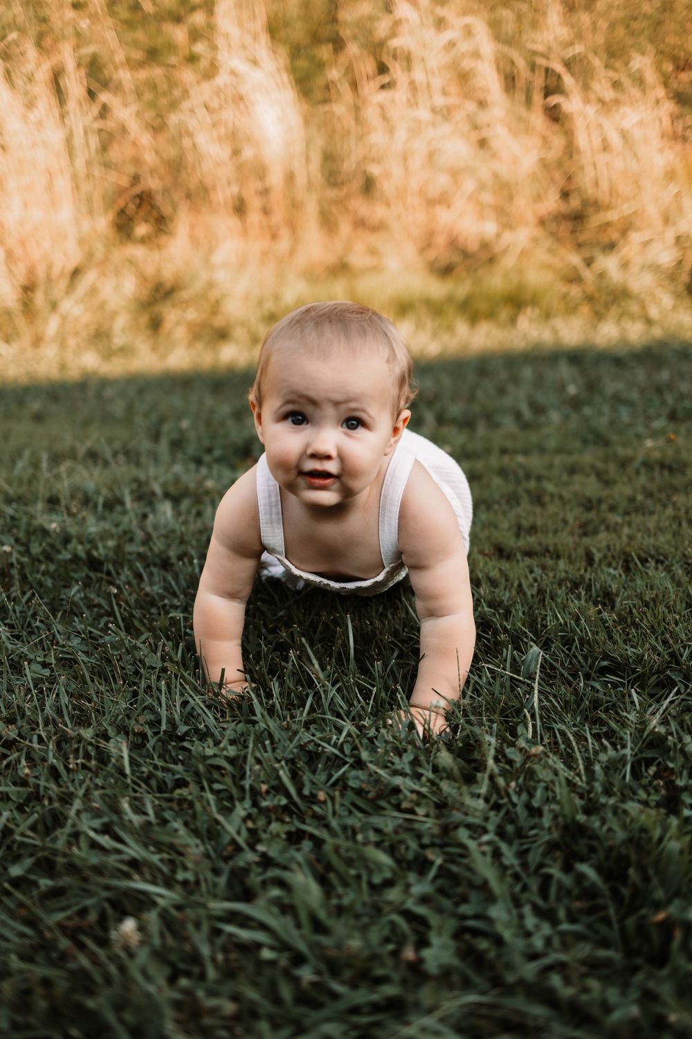 A curious baby in a white romper crawls on lush green grass with golden wheat field in the background in Knoxville, TN.